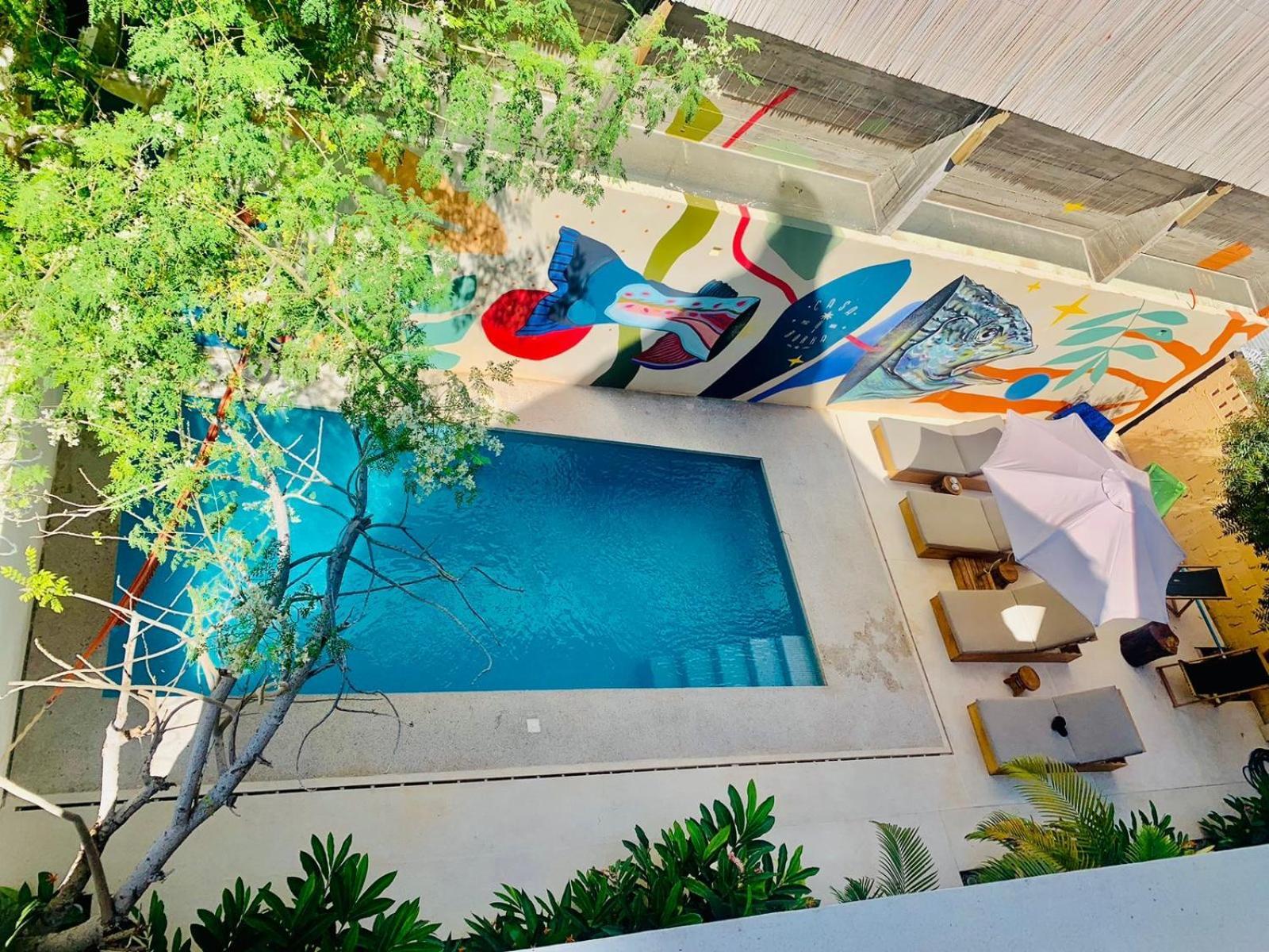 Casa Borka Apartamento Puerto Escondido  Exterior foto
