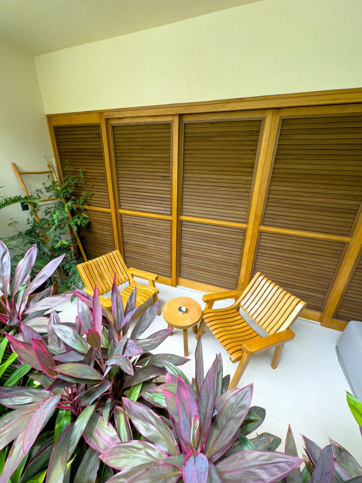 Casa Borka Apartamento Puerto Escondido  Exterior foto